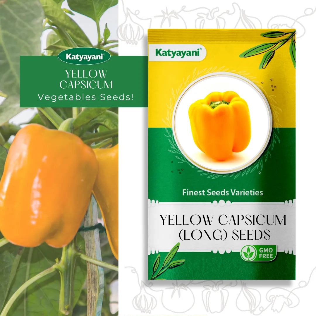 GGV Yellow Capsicum Seeds