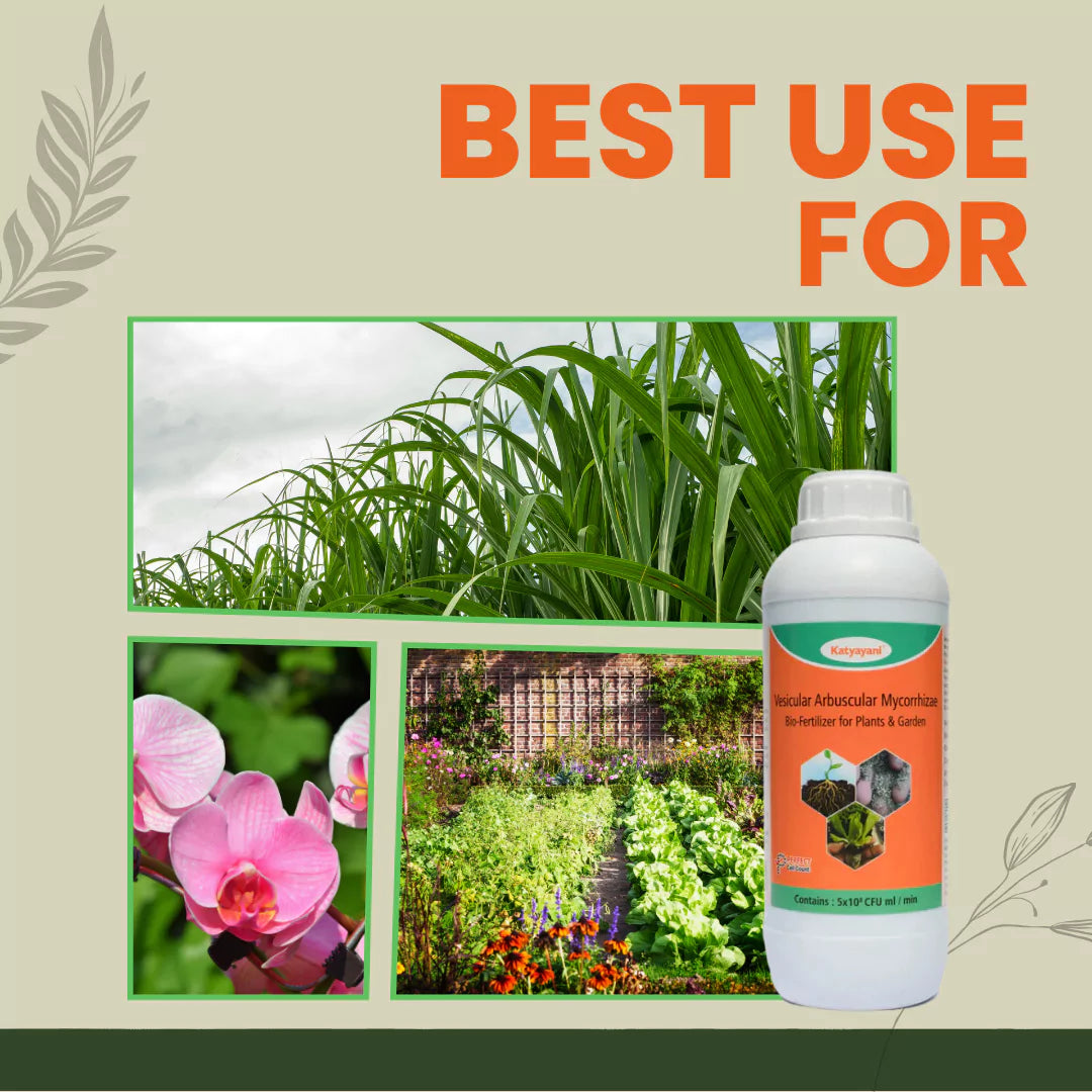 GGV Vesicular Arbuscular Mycorrhiza | Bio fertilizer Green Garden Vibes