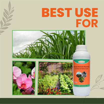 GGV Vesicular Arbuscular Mycorrhiza | Bio fertilizer Green Garden Vibes