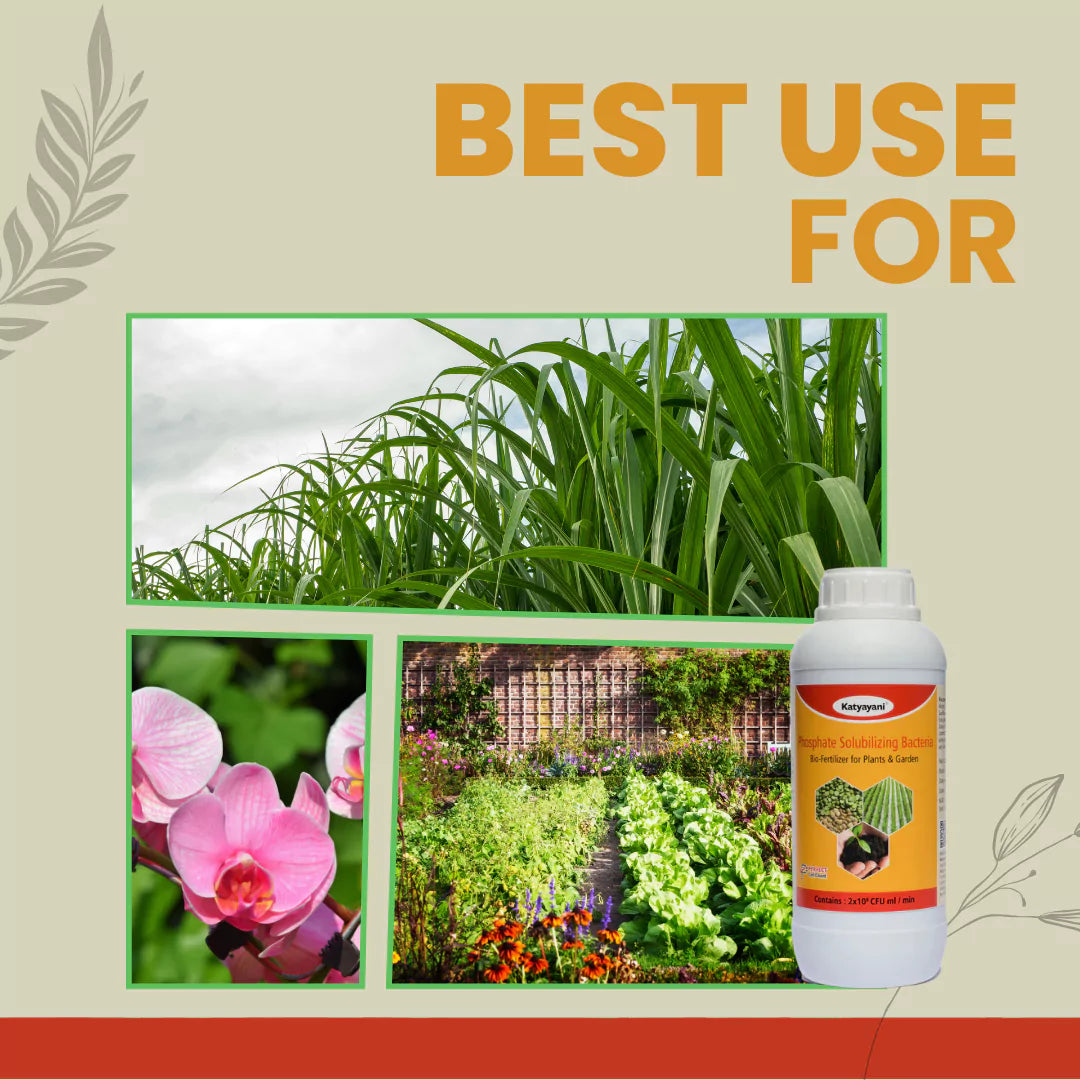 GGV Phosphate Solubilizing Bacteria Bio fertilizer Green Garden Vibes Canada
