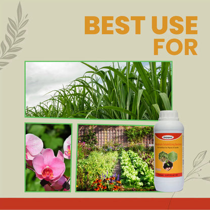GGV Phosphate Solubilizing Bacteria Bio fertilizer Green Garden Vibes Canada