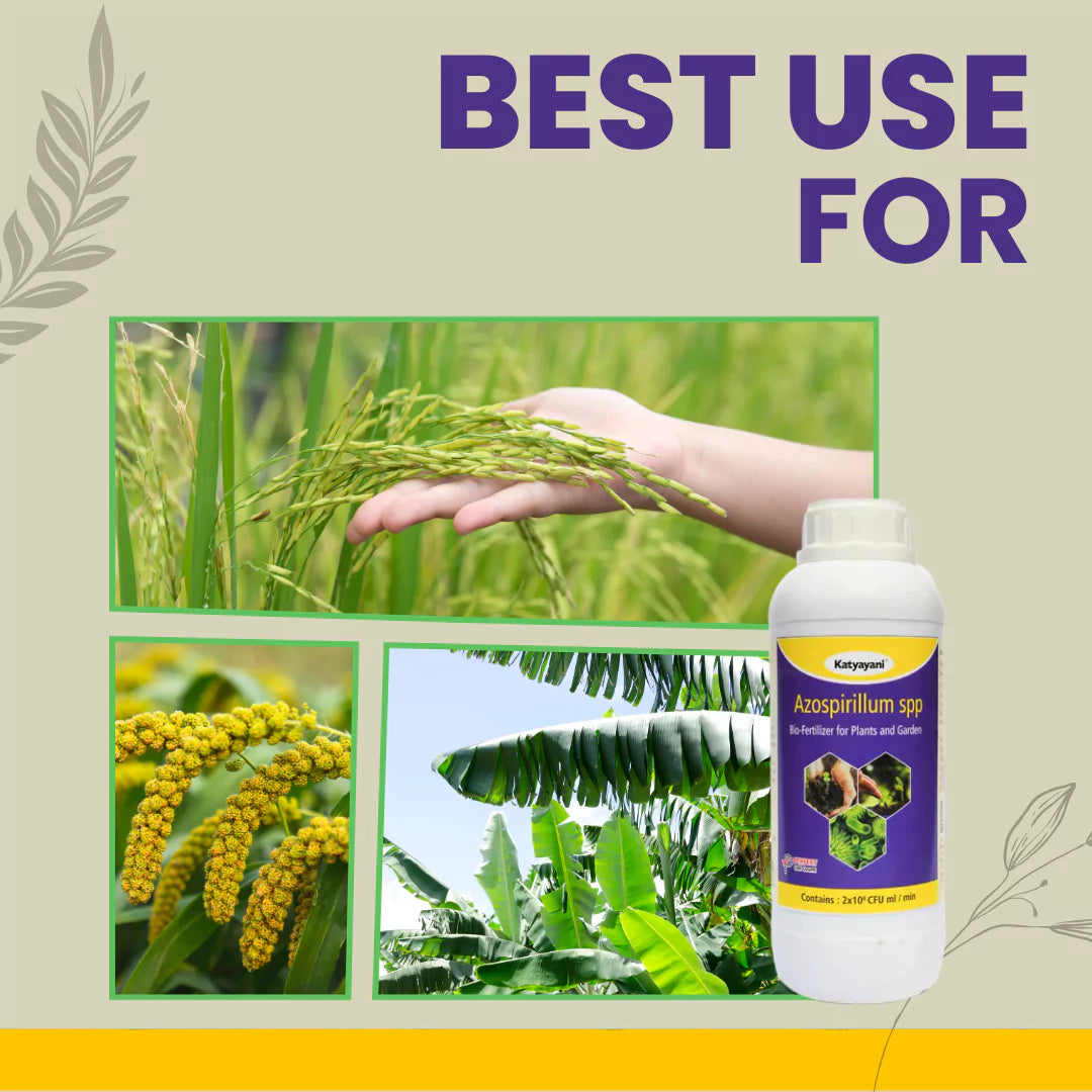 GGV Azospirillum Bio Fertilizer Green Garden Vibes Canada