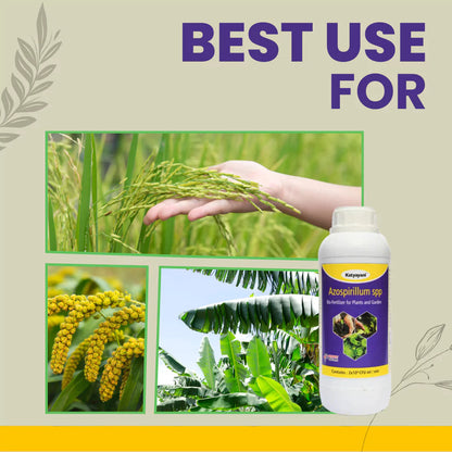 GGV Azospirillum Bio Fertilizer Green Garden Vibes Canada