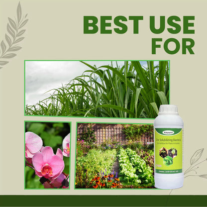 GGV Zinc Solubilizing Bacteria Bio Fertilizer Green Garden Vibes