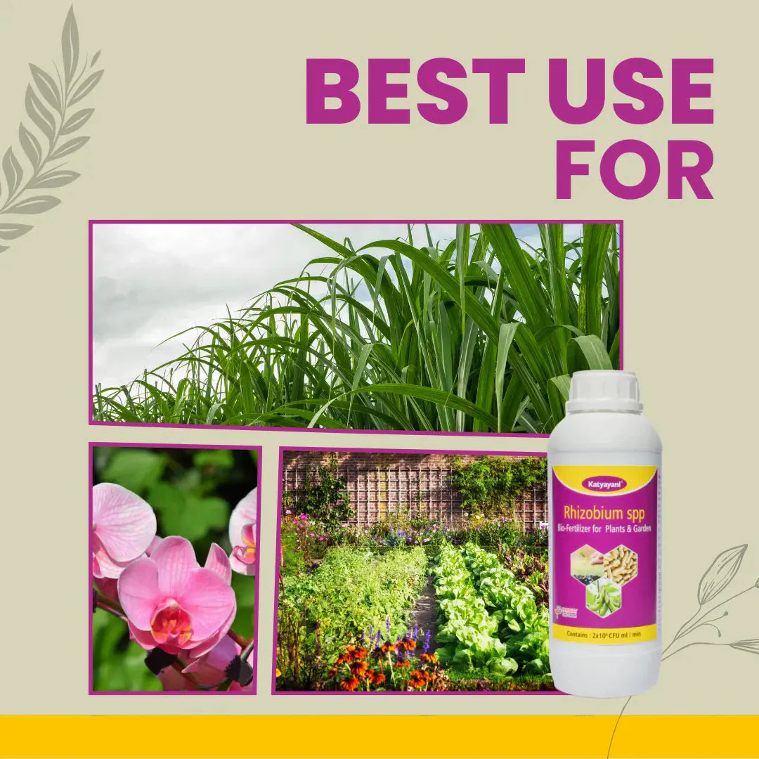 GGV Nitrogen Rhizobium Fixing Fertilizer Green Garden Vibes Canada