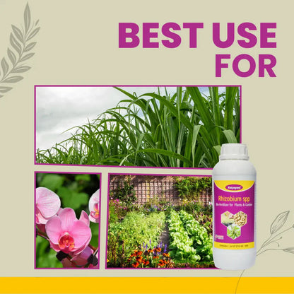 GGV Nitrogen Rhizobium Fixing Fertilizer Green Garden Vibes Canada