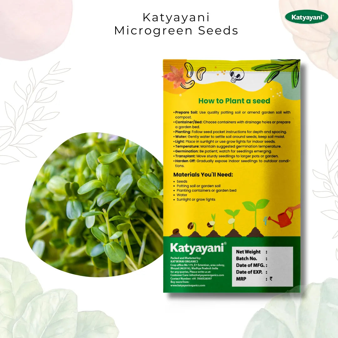 GGV Sunflower Oil Flowering Seeds