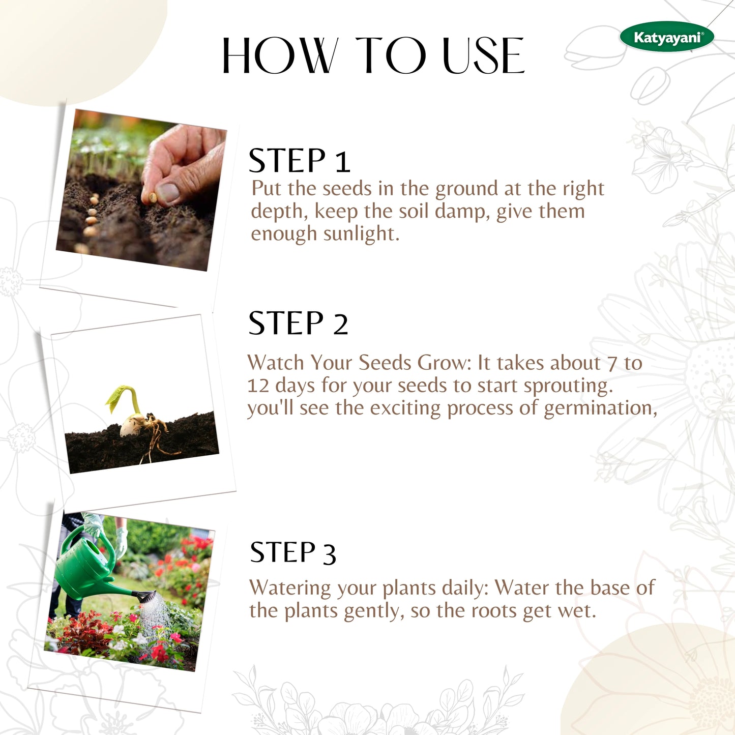 GGV Tulsi  (Holy Basil) Herb seeds