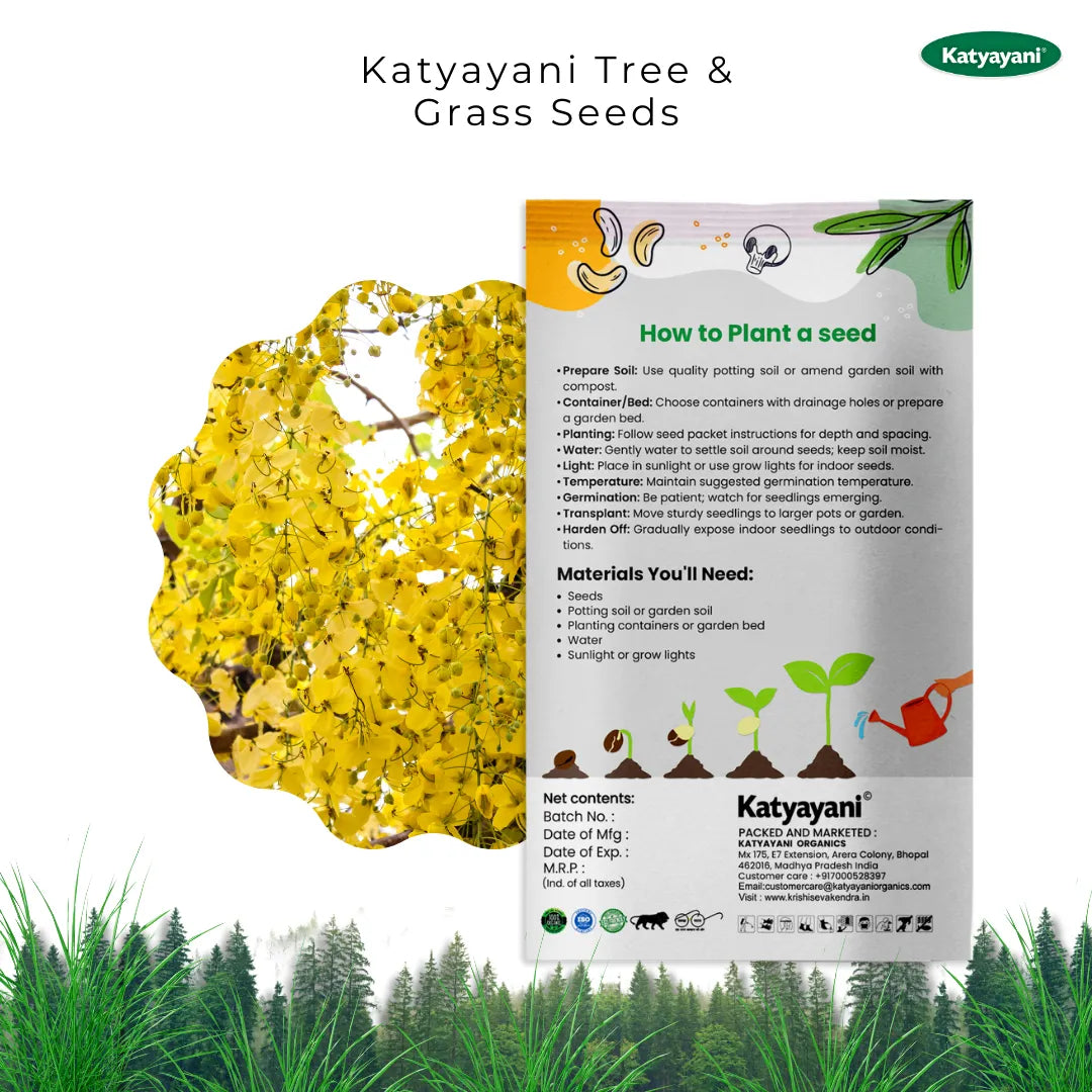 GGV Indian Laburnum (Cassia Fistula) Tree and Grass Seeds