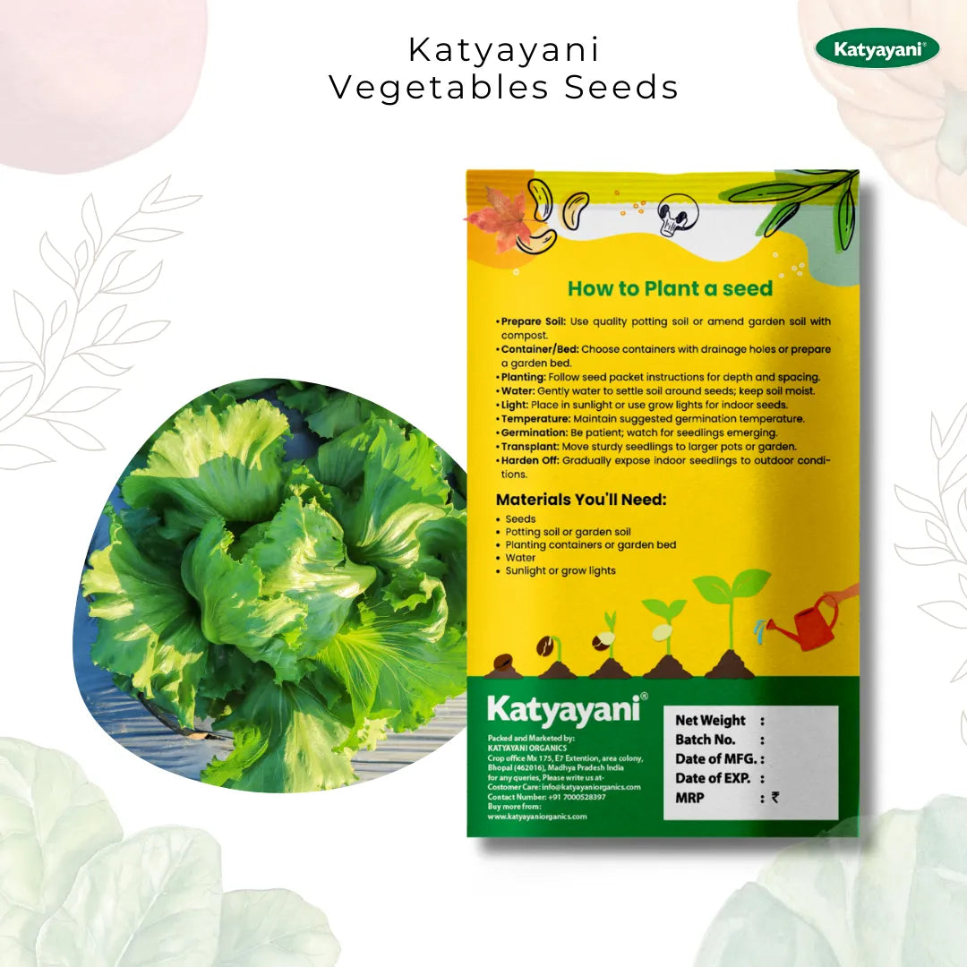 GGV Lettuce Iceberg (round) Vegetable Seeds
