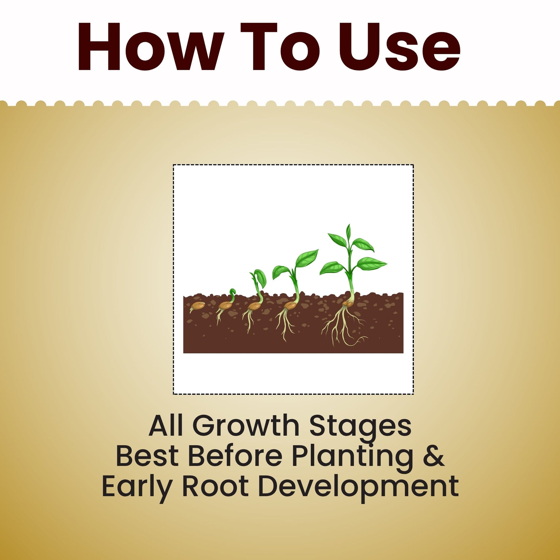 GGV Activated Humic Acid + Fulvic Acid 98% | Organic Soil Conditioner & Plant Growth Enhancer Green Garden Vibes Canada