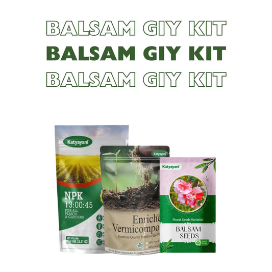GGV Balsam Grow It Yourself Kit Green Garden Vibes Canada