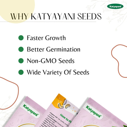 GGV Tulsi  (Holy Basil) Herb seeds