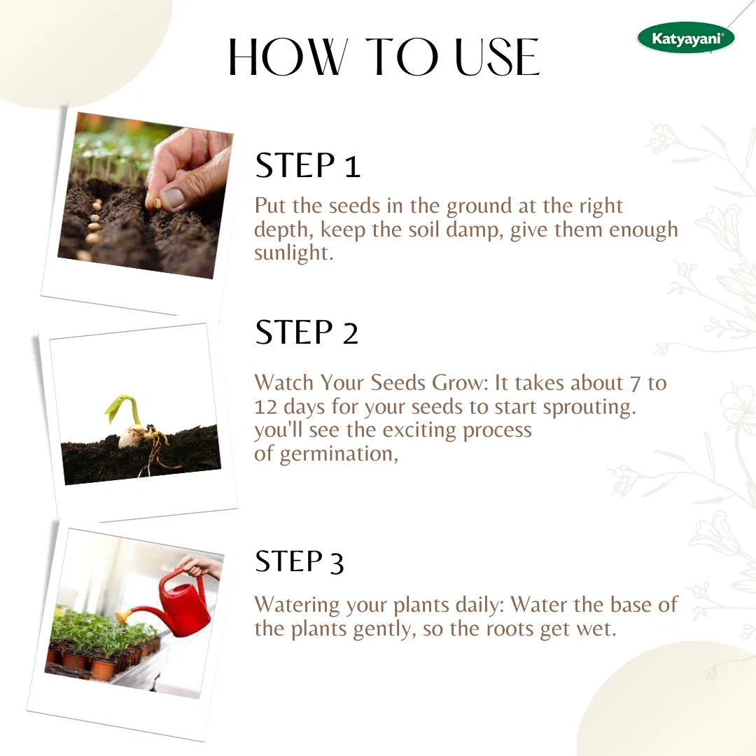 GGV Parsley Curled Herb Seeds