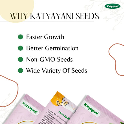 GGV Chrysanthemum Mix Flowering Seeds