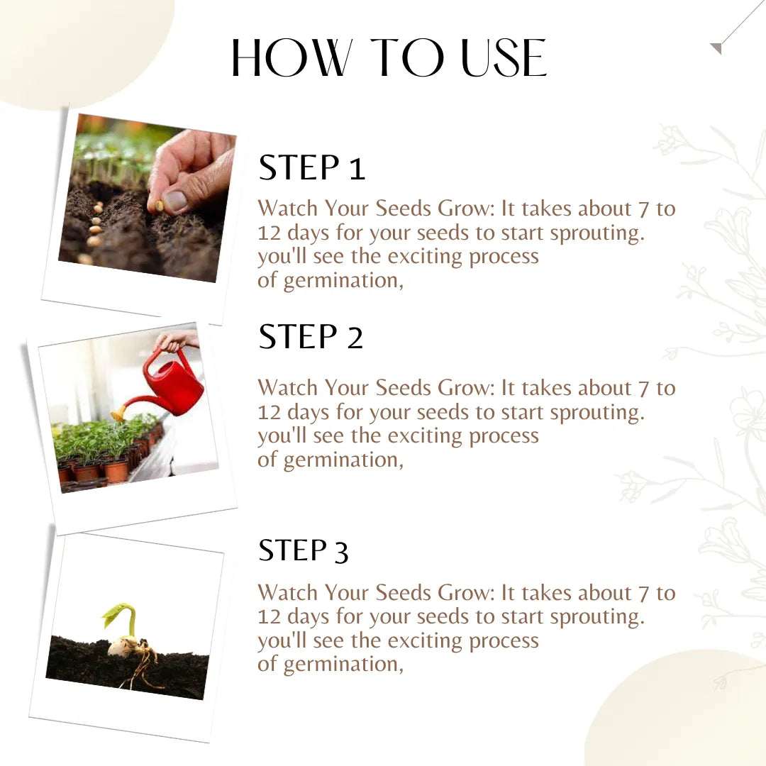 GGV Green Onion (Leek) Vegetable Seeds