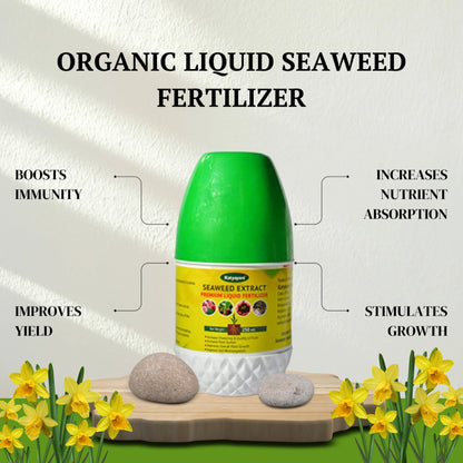 GGV Organic Liquid Seaweed Fertilizer Green Garden Vibes Canada