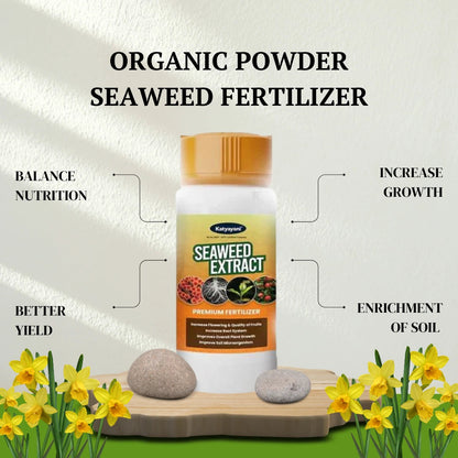 GGV Organic Seaweed  Extract  Fertilizer Green Garden Vibes