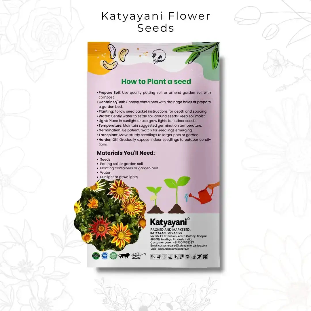 GGV Gazania New Day White Flowering Seeds(100 Seeds per Packet)