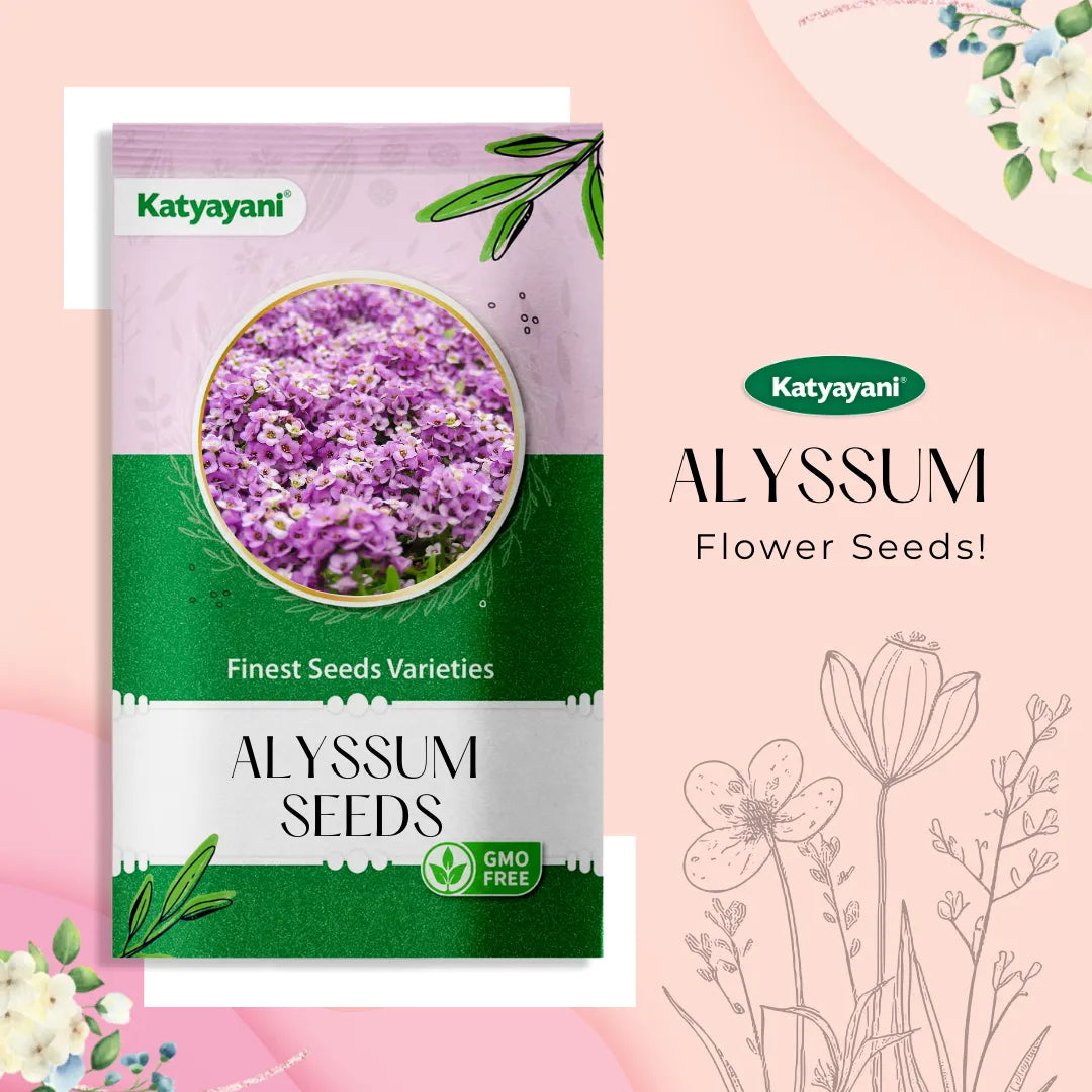 GGV Alyssum Flowering Seeds