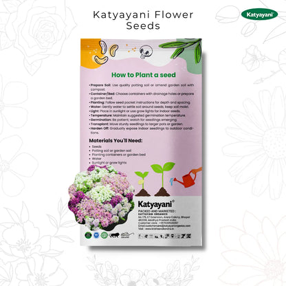 GGV Alyssum Flowering Seeds