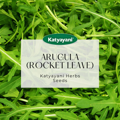 GGV Arugula (Rocket leaves) Herb Seeds