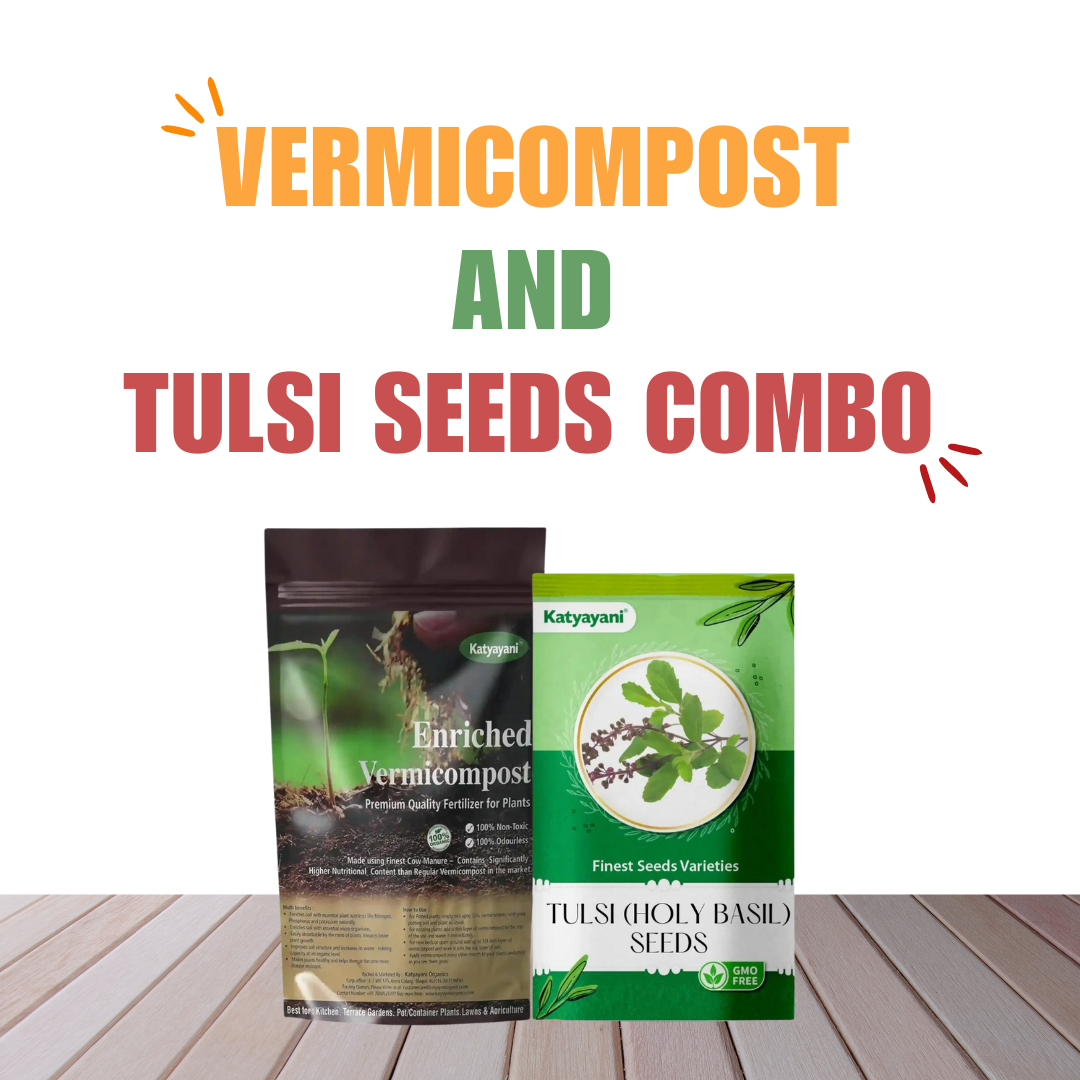 GGV Tulsi (Holy Basil) Grow it yourself kit Green Garden Vibes Canada