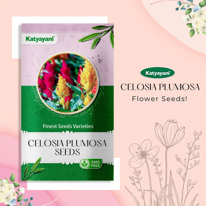 GGV Celosia Plumosa Flowering Seed