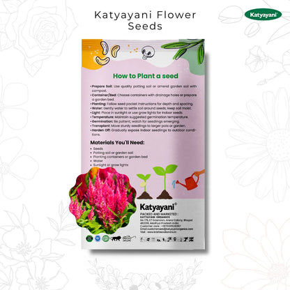 GGV Celosia Plumosa Flowering Seed