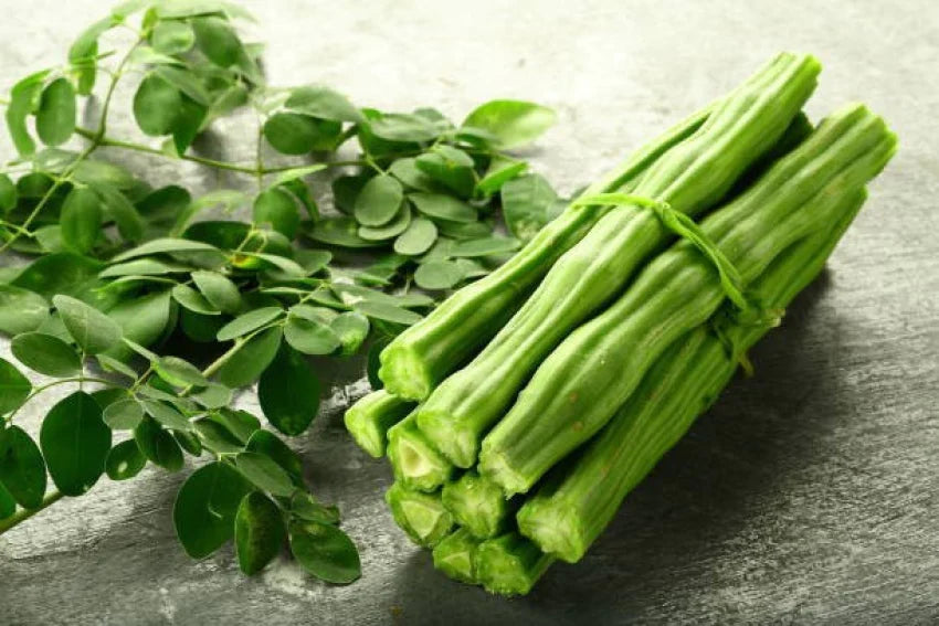 GGV Drumstick(moringa) Vegetable Seeds (10 Seeds per Packet)