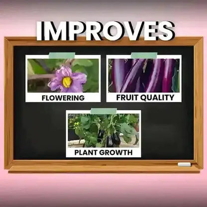 Katyayani Flowering Booster Fertilizer + Mix Micro 10 Gm | Organic Fertilizers Green Garden Vibes Canada