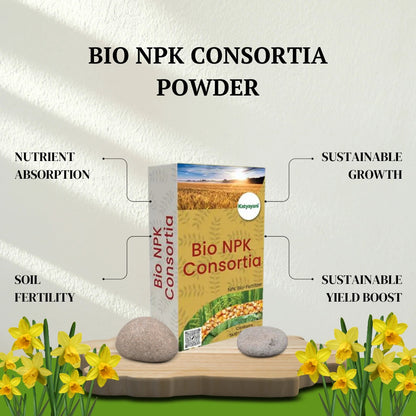 GGV Bio NPK Consortia: Powder Green Garden Vibes