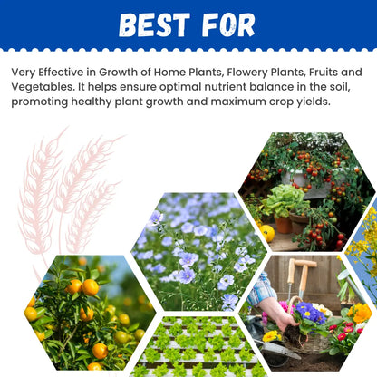 GGV NPK 12:61:00 – Buy 1 Get 2 Free Fertilizer Deal Green Garden Vibes Canada