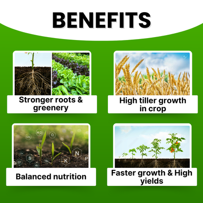 GGV Liquid fertiliser NPK 19 19 19 100% Green Garden Vibes Canada