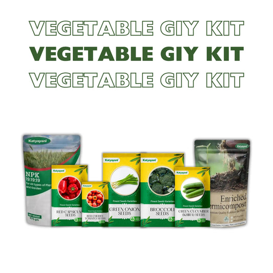 GGV Vegetable Grow It Yourself Kit Green Garden Vibes Canada