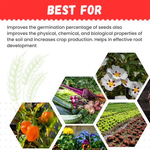 GGV Prom Organic Fertilizer | Phosphate Rich Organic Manure Green Garden Vibes Canada