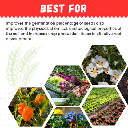 GGV Prom Organic Fertilizer | Phosphate Rich Organic Manure Green Garden Vibes Canada