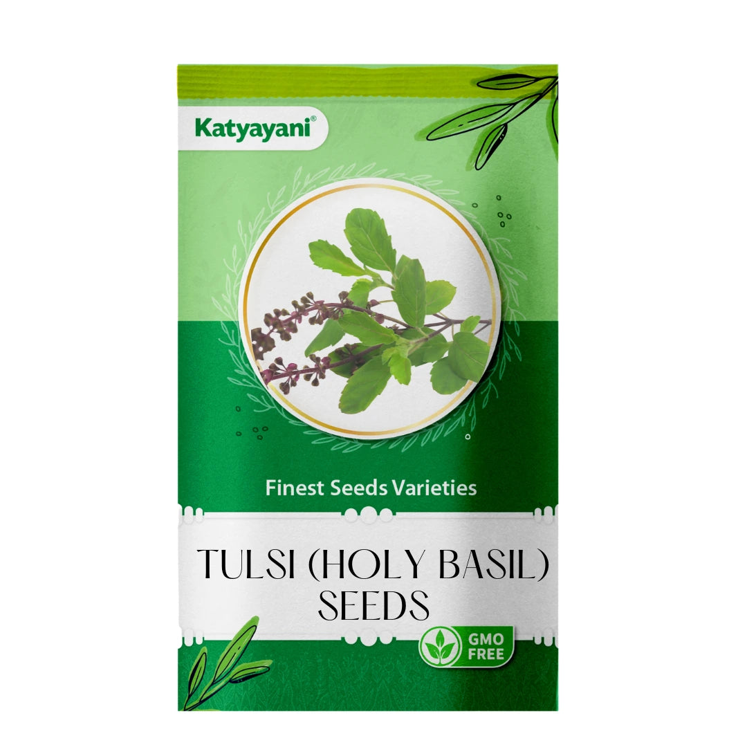 GGV Tulsi  (Holy Basil) Herb seeds