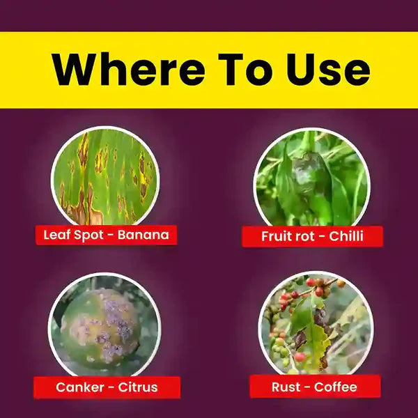 GGV Katyayani COC 50 | Copper Oxychloride 50% WP | Fungicide for Rust Disease Green Garden Vibes