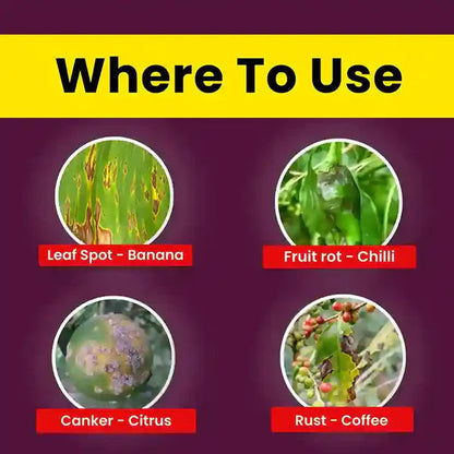 GGV Katyayani COC 50 | Copper Oxychloride 50% WP | Fungicide for Rust Disease Green Garden Vibes