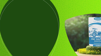 GGV Zinc Sulphate 33% Fertilizer 5 Kg | Essential Nutrient for Plant Growth
