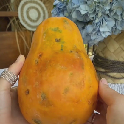 GGV Papaya Fruit Seeds (100 seeds/packet)