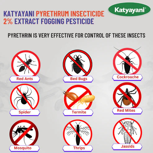 GGV Pyrethrum Organic Insecticide (Natural Pest Control for Plants) Green Garden Vibes