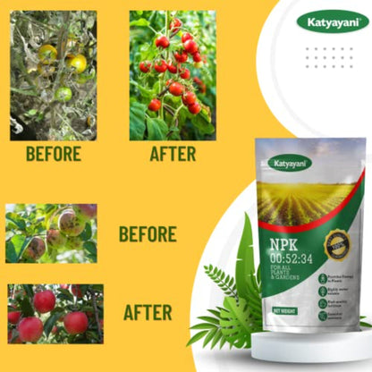 GGV NPK 00 52 34: Fertilizer Powder Green Garden Vibes Canada