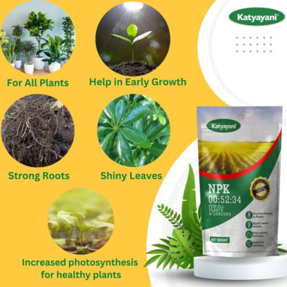 GGV NPK 00 52 34: Fertilizer Powder Green Garden Vibes Canada
